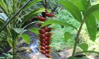 Best of East Bali Including Temples and Waterfall 8