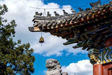 Guided Tour of Longmen Grottoes and White Horse Temple in Luoyang
