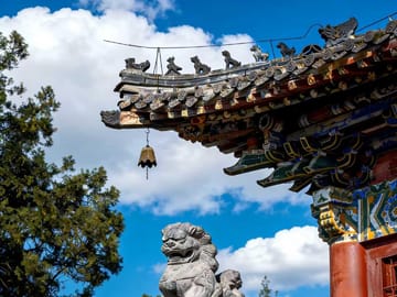 Luoyang: Longmen Grottoes and White Horse Temple Guided Tour