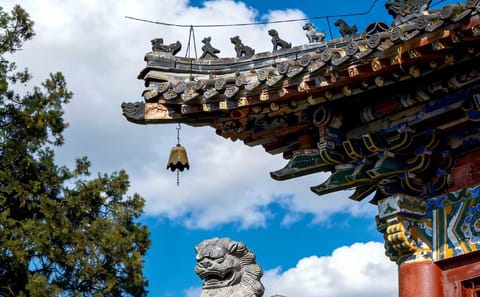 Guided Tour of Longmen Grottoes and White Horse Temple in Luoyang