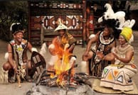 Cultura y Safari: Lesedi y Lion Park en un Solo Día - en Español 7