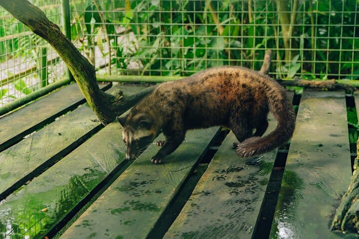 Bali Private Car Full Day Customized Tour With Drone Service