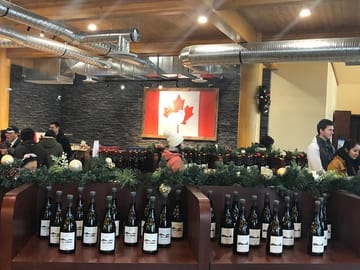 Private Bus Tour from Vancouver to Okanagan Valley