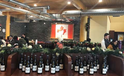 Private Bus Tour from Vancouver to Okanagan Valley