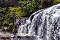 Hortan Plains Tour From Kandy 6