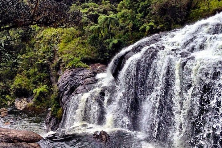 Hortan Plains Tour From Kandy 6