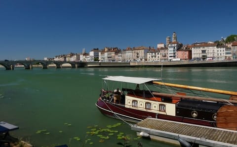 Private Historic Walking Tour in Mâcon, France