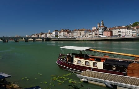 Private Historic Walking Tour in Mâcon, France