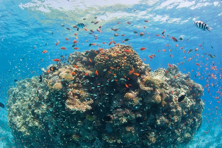 Orange bay Island by a speed boat Hurghada