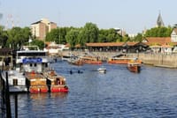 Tigre Delta