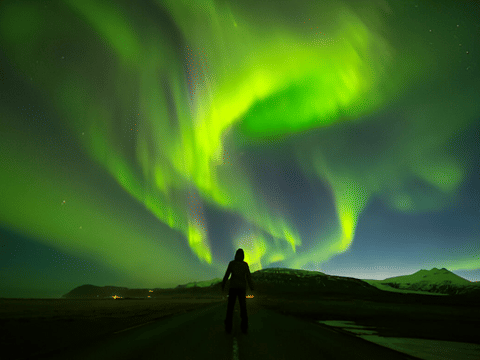 Reykjavík: Northern Lights Small-Group Tour by Sprinter with Photos & Cocoa