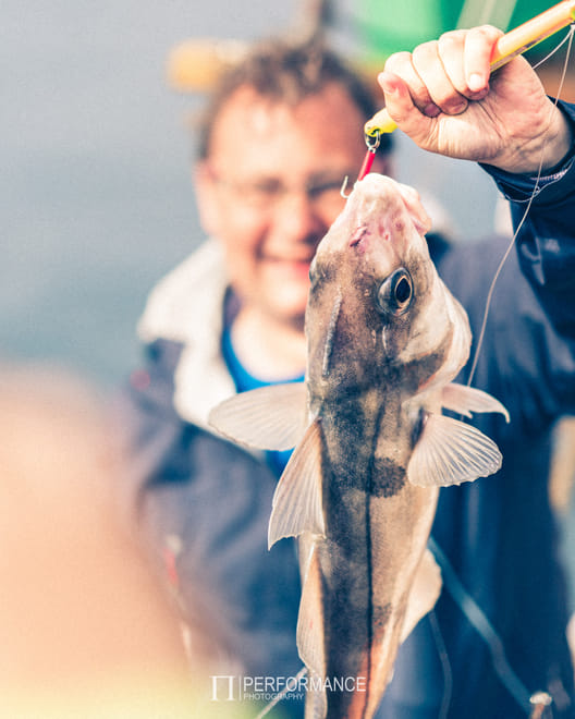 Traditional Faroese Fishing Experience from Tórshavn