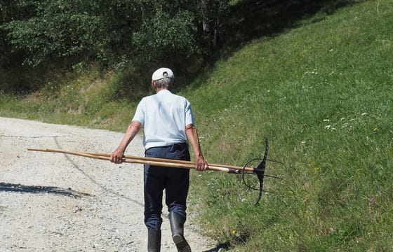 Small-Group Day Trip in Romanian Authentic Mountain Villages from Brasov