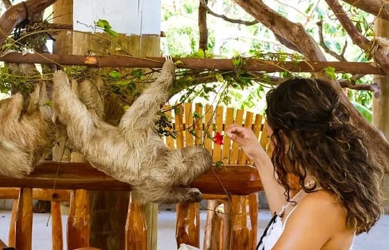 All inclusive Glass Bottom boat Wild life encounter and Beach