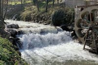 Sapanca - Masukiye Full Day Tour with Lunch