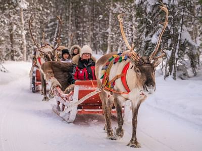 Forest Path – An 800-Meter Reindeer Sleigh Ride Adventure in Santa's Forest, Rovaniemi
