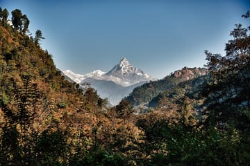 7 days Annapurna MBC Trek