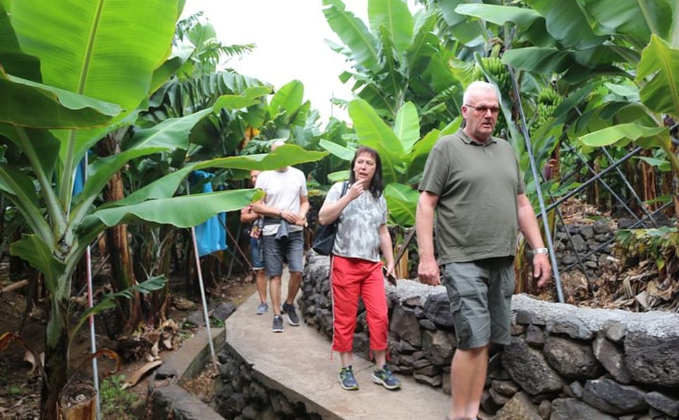 Southwest Madeira 4x4 Tour with Rum and Gin Tasting