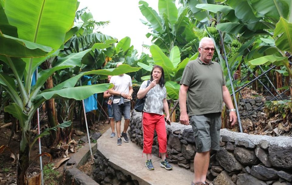 Southwest Madeira 4x4 Tour with Rum and Gin Tasting