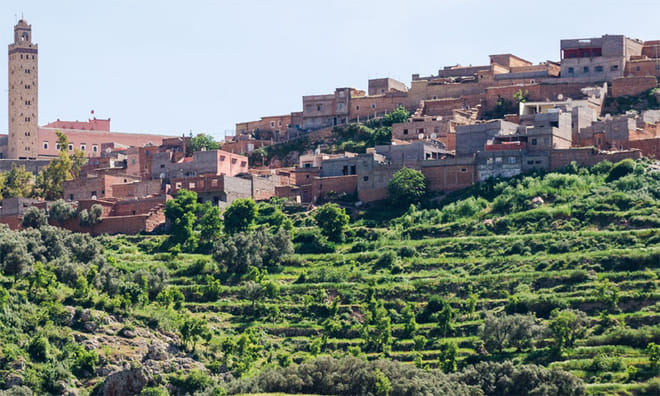Asni & Tassa Ouirgane Full-Day Trip 6