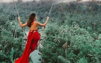 Bali Swing and White Water Rafting Experience with All Inclusive 1