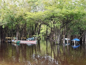 Amazon Jungle Adventure: 6-Day Tour from Manaus