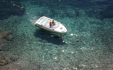 Hurghada Red Sea Egypt  – Speedboat Swim with Dolphins & Snorkel
