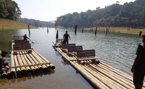 Cochin to Thekkady and Alleppey 4-Day Nature Tour
