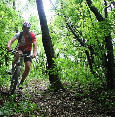 Private Mountain Biking in Vitosha from Sofia