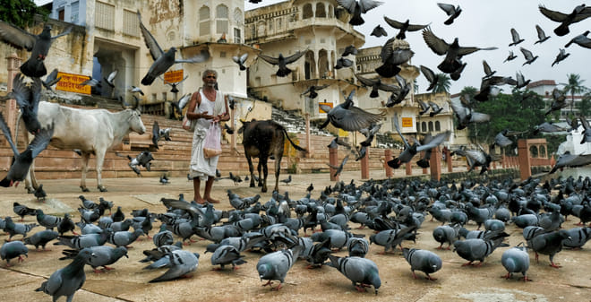 Pushkar Ghat