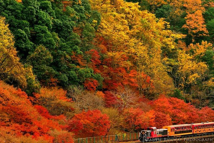 Sagano Romantic Train One-Way Ticket