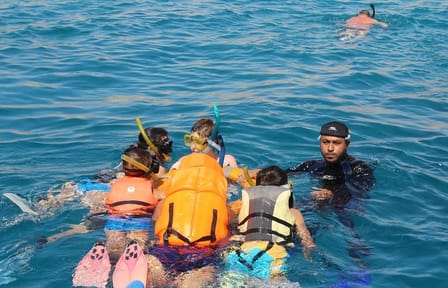 Snorkeling with Turtles at Abu Dabab Bay from Hurghada