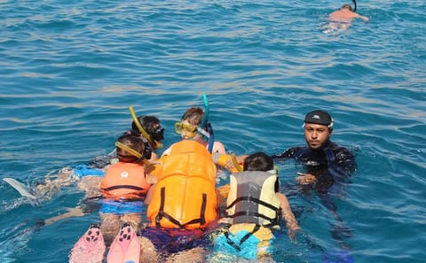 Snorkeling with Turtles at Abu Dabab Bay from Hurghada