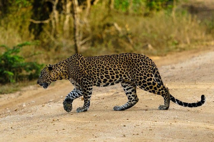 10 Days Ramayana Trails