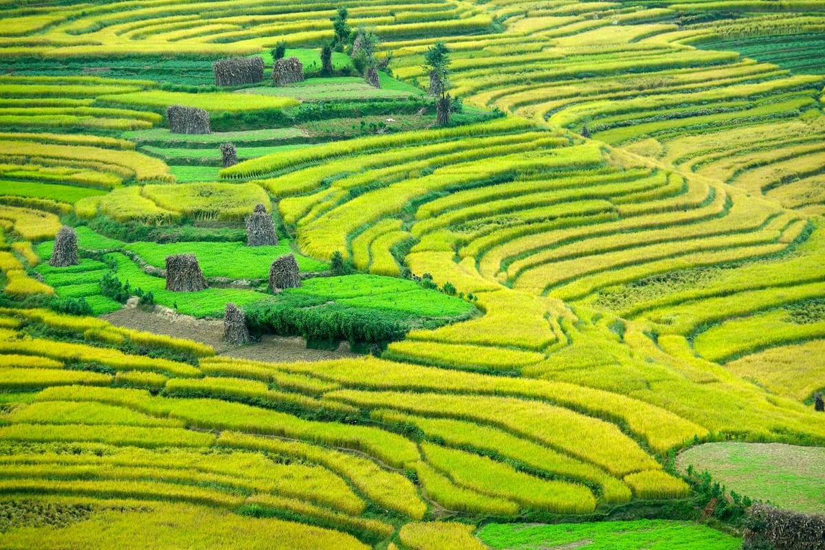 19 Days Mera Peak Climbing & Expedition – One Life-Changing Himalayan Adventure