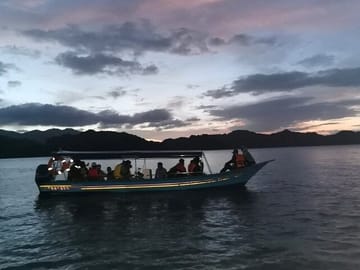 Langkawi Wild Night Out – Mangrove Safari & Riverside Dinner