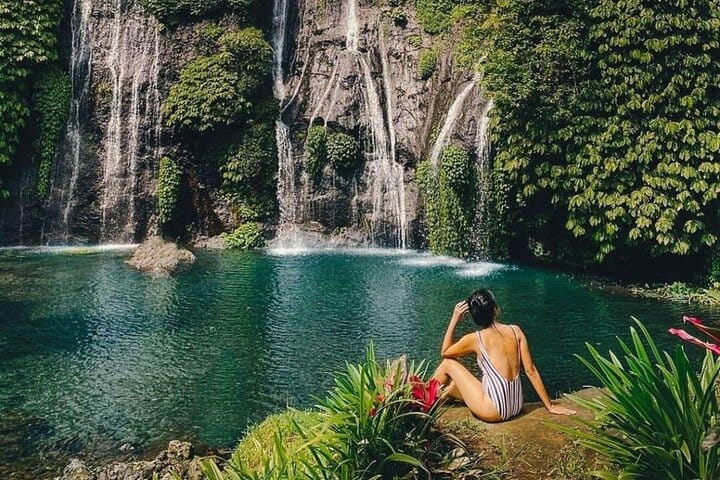 North Bali Scenic Tour with All-Inclusive & Private Guide Tour 10