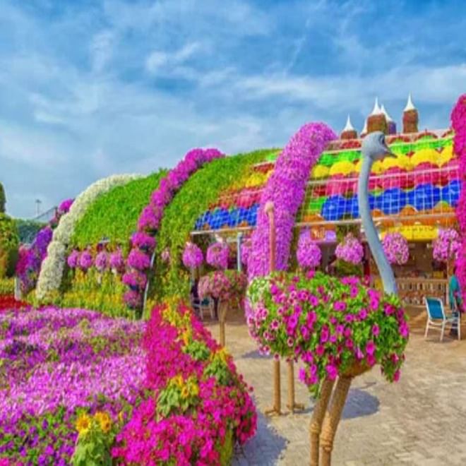 Dubai Miracle Garden: A Blooming Wonderland