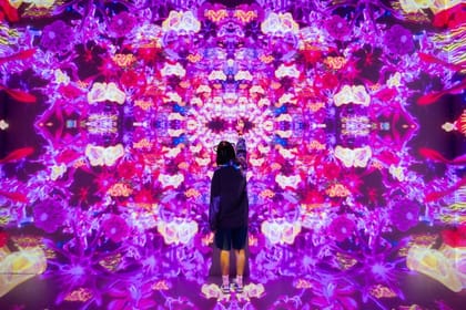 Dubai Mall Shopping, House of Hype, Burj Khalifa 124/125th floor and Musical Fountain Show tour with Private Transfers