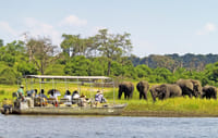 Victoria Falls Safari & Wildlife Escape 6