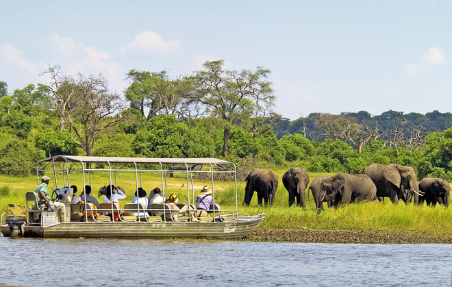 Victoria Falls Safari & Wildlife Escape photo 6