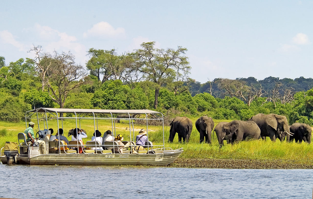 Victoria Falls Safari & Wildlife Escape 6