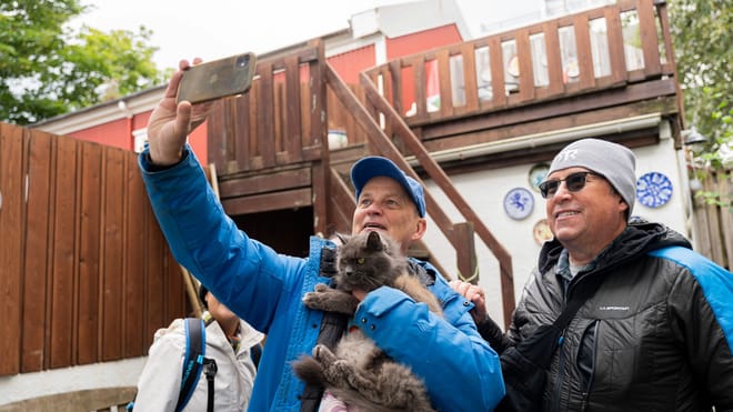 The Reykjavik CatWalk