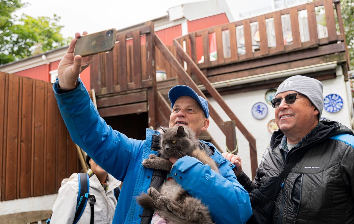 The Reykjavik CatWalk