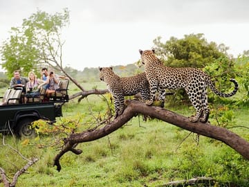 Wild Wonders Of Sri Lanka | 7 Days