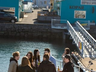 Harbor Cruise with Three Course Dinner from Reykjavik, photo 12