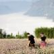 Ha Giang Loop Motorbike Tour: Highlight 3 Day Adventure