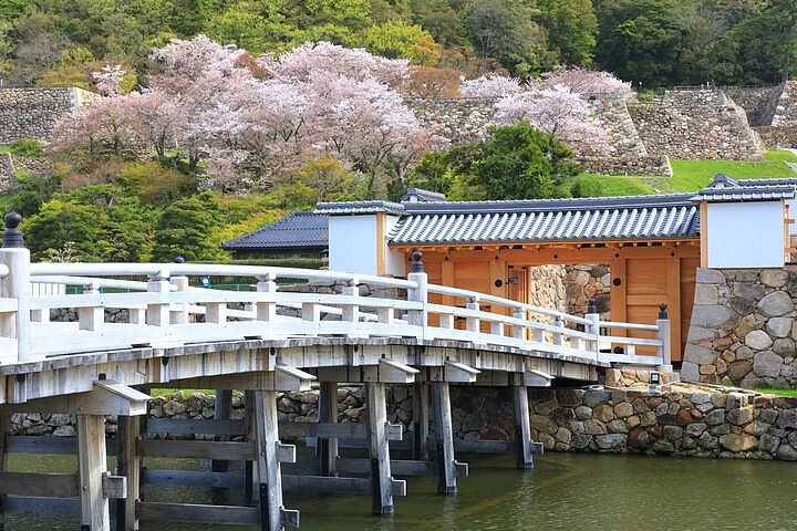 The East Garden of the Imperial Palace 2h Walking Tour