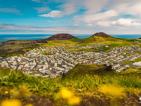 Vestmannaeyjar Day Tour, photo 17