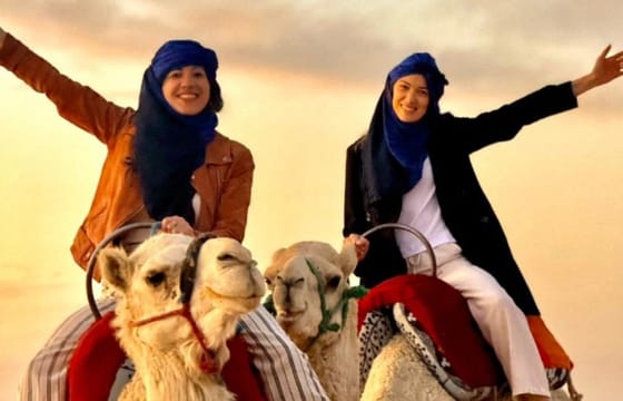 From Marrakech: Unforgettable 3-Day Desert Tour to Fes